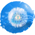 HEAL-CC-Bilder-Offertable-2